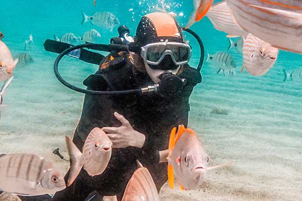 Diving with Fish - diving in Barbados
