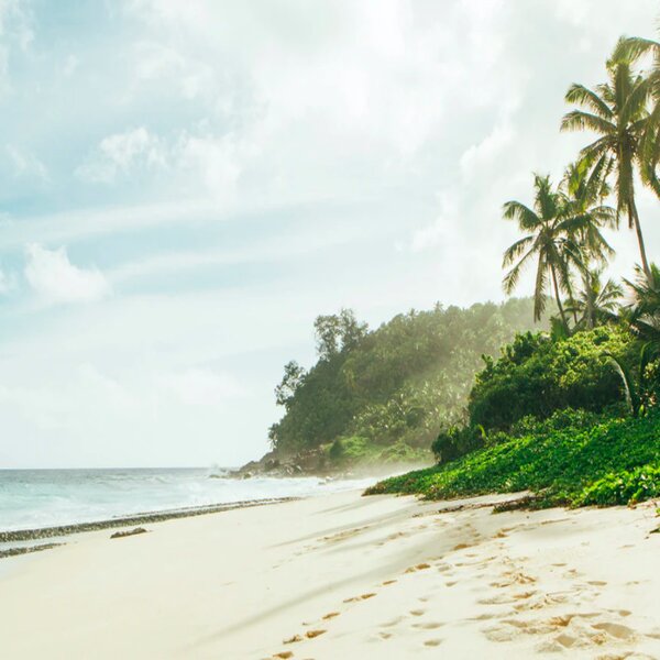 Seychelles beach