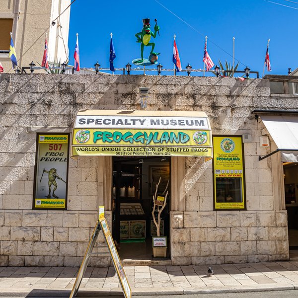 exterior of frog-themed museum in split
