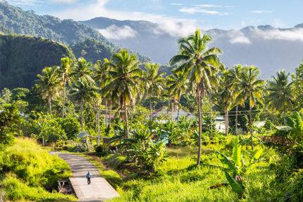 mountains and palm trees in fiji